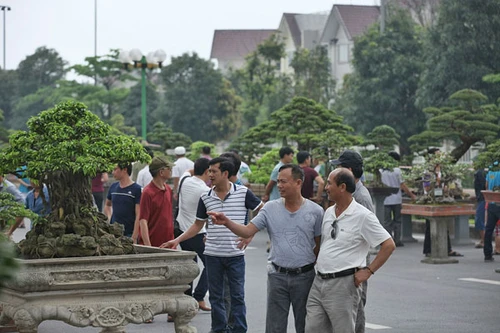 Lễ hội sinh vật cảnh lớn nhất Việt Nam tại Vinhomes Riverside