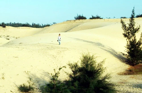 Nướng cá trên cồn cát Quảng Bình