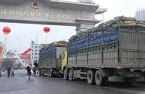 Nhập siêu từ Trung Quốc: Như chiếc kim đâm vào tim mỗi người