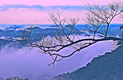 Tháng Tám đi qua những cung đường cách mạng