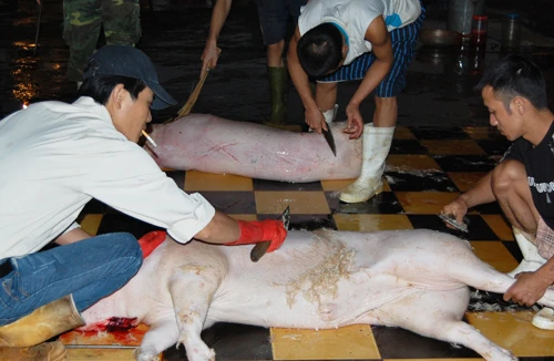 70% lượng thịt không được kiểm soát