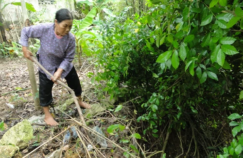 Hàng trăm hộ dân bên sông Bùi thấp thỏm 