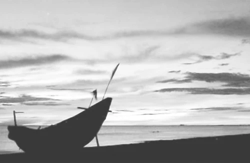 Bẫy còng gió, săn bạch tuộc biển đêm Cửa Việt