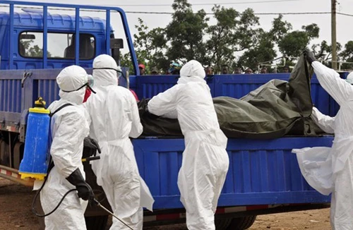 Liberia ban bố lệnh giới nghiêm vì Ebola