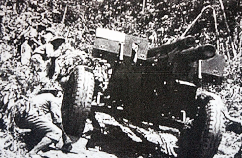 Những “Chiến sĩ Điện Biên” làng tôi