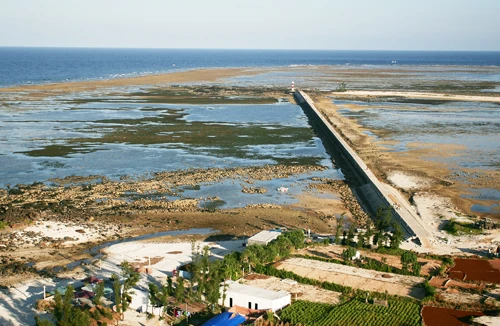 Hải đội Hoàng Sa và những hùng binh khi ấy