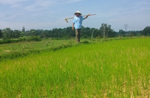 Chống hạn giữa mùa mưa bão