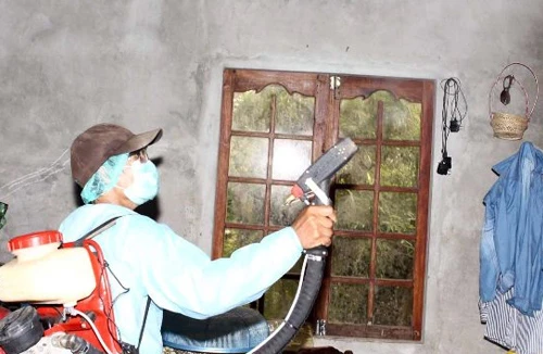 Người lớn cũng nguy kịch vì viêm não Nhật Bản 