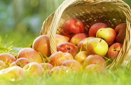 Làm đẹp từ táo