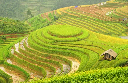 “Mâm xôi” trên những nấc thang trời