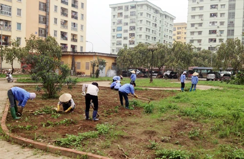 Cải tạo khu tái định cư Đồng Tàu