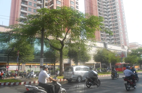 15 năm “tai tiếng” với những chuyện u mê hoang đường