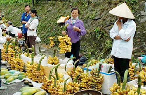 Thưởng chuối tiến vua ở làng Vũ Đại