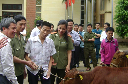 Trao bê vàng đến tận tay hộ nghèo