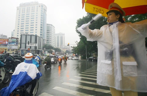 Những bông hoa bình dị