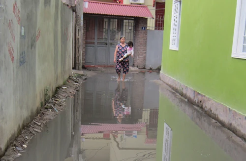 Không mưa vẫn ngập