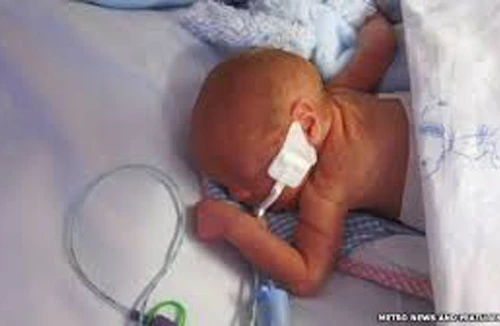 Sự sống 36 ngày