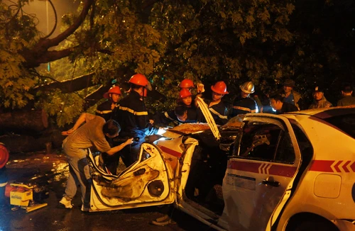 Hoàn cảnh éo le của lái xe taxi bị cây đè chết