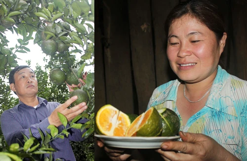 Kỳ tích trên hoang đảo