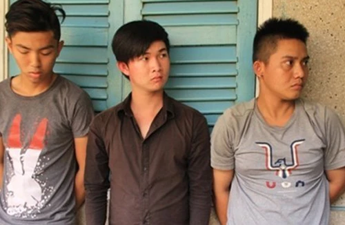 Trộm chó, chống trả người truy đuổi bằng súng điện, có được coi là phòng vệ?