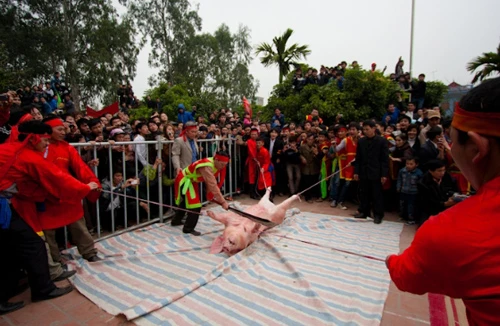 Đến lễ hội chỉ vì hiếu kỳ