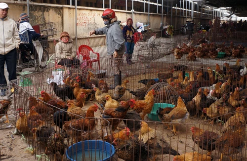 Người dân vẫn chủ quan