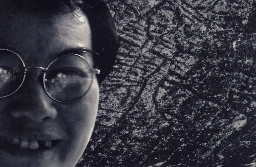 Cánh chim biển không mệt mỏi