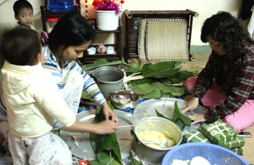 “Bánh chưng pin” bị tẩy chay