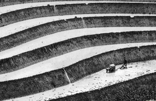 “Đường nét cuộc sống” đoạt HCV ảnh quốc tế