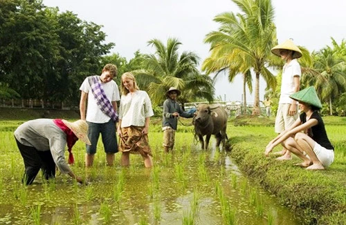 Rắc rối từ du lịch homestay