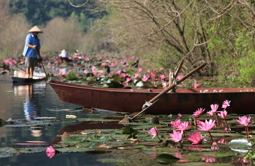 Suối Yến mùa nước nở hoa