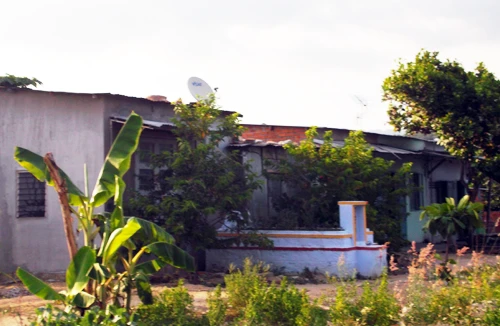 Chôn người chết ngay cạnh nhà ở vì sợ thú dữ cướp xác