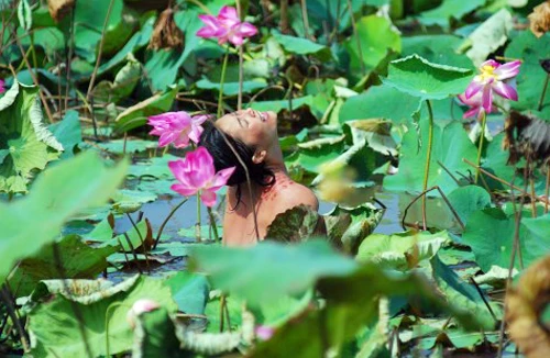Phê bình văn học: Đừng nhăm nhăm vạch vòi...