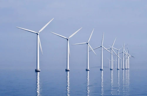 “Hàng hóa xanh” lên ngôi