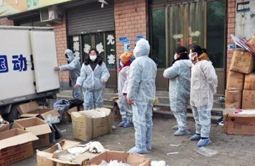 Philippines cấm nhập gia cầm Trung Quốc