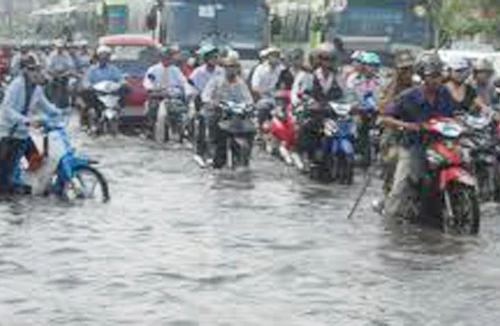 Thiệt hại ai chịu và có phải là bất khả kháng không?