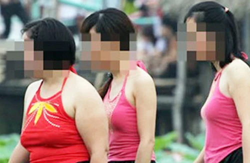 Xin đừng “làm khổ” hoa sen