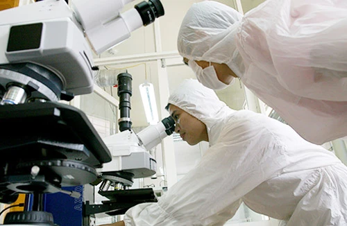 Giáo sư Ngô Bảo Châu: Việt Nam đang làm ngược với thế giới