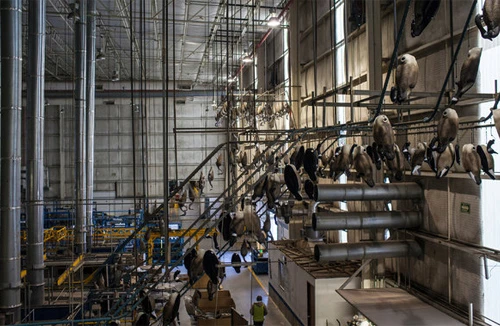 Doanh nghiệp Mỹ “tháo chạy” khỏi Trung Quốc