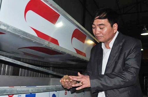 Cảnh giác với “bẫy” nuôi gián đất 