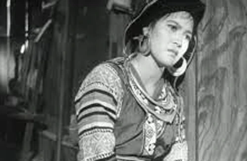 Tuần phim Điện Biên Phủ tại Lào