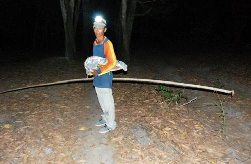 Đổ xô lên núi săn thằn lằn vì lời đồn chữa khỏi bệnh... ung thư 