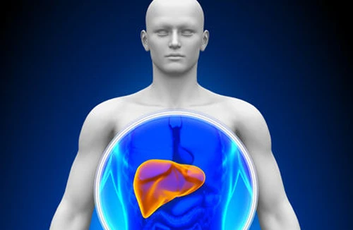 Giải độc gan bằng phương pháp tự nhiên