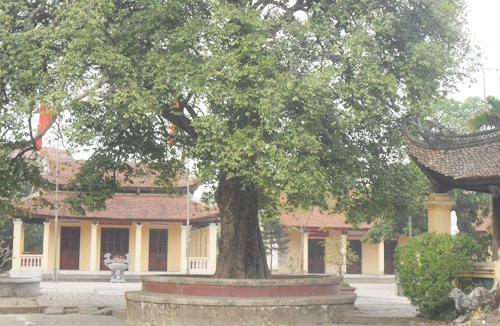 “Tránh duyên” vì lời "sấm truyền"