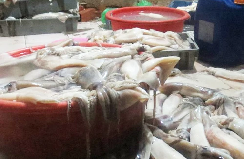 Chặn nguồn nước thải ô nhiễm đổ ra hồ Trúc Bạch