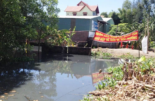 Ngang nhiên xả thải, người dân điêu đứng