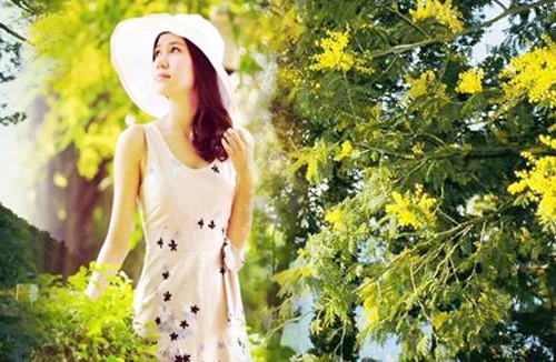 Ngợp trong sắc trinh nữ vàng