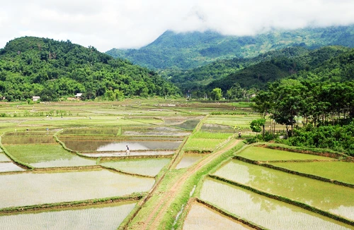 Trải nghiệm trên "con đường đau khổ"