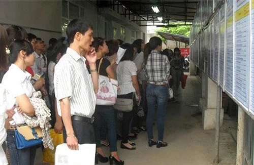 Áp lực việc làm ngày càng nặng