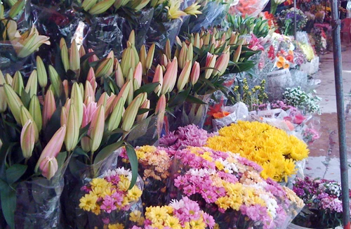 Rộn ràng ngày lễ Tình yêu